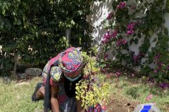 Amb.-Purity-Muhindi-planting-tree-at-the-chancery-garden-scaled