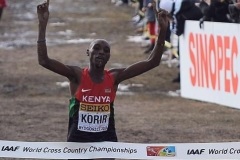 Cross-country-champion